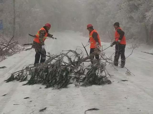 7.jpg?x-oss-process=style/sim