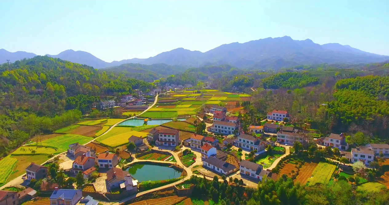 湖北省大型苗木基地